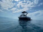Аренда круизного катера Bayliner 288 Ciera Flybridge "Меркурий" в Сочи